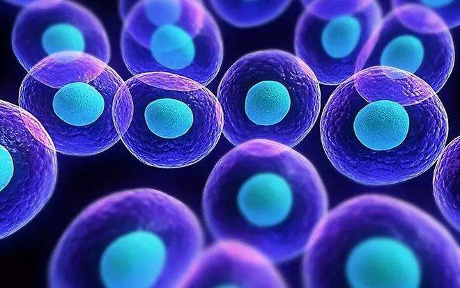 Adipose-derived stem cells bank