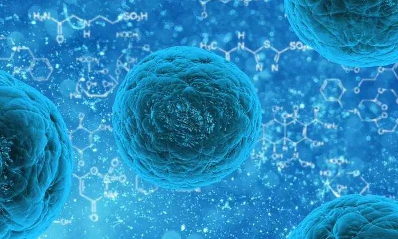 中国科学院启动三个干细胞临床研究项目