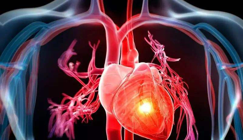 PNAS发现胎盘干细胞可以在心脏病发作后再生心脏