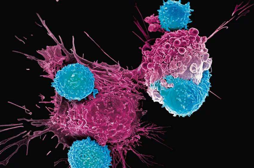 嵌合抗原受体T细胞（CAR-T）治疗产品申报上市临床风险管理计划技术指导原则